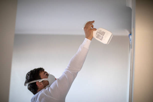 Best Localized Mold Remediation (e.g., coastal areas, humid climates) in Mariposa, CA