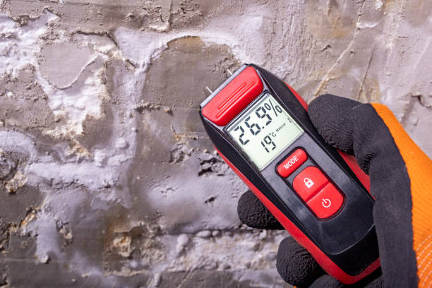 Best Attic Mold Remediation in Mariposa, CA